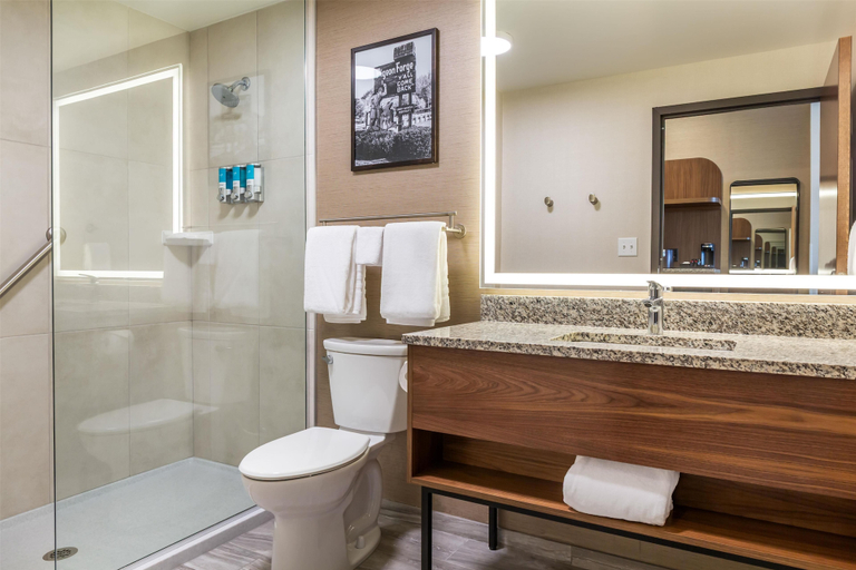 Bathroom 3, Drury Plaza Hotel Pigeon Forge, Sevier