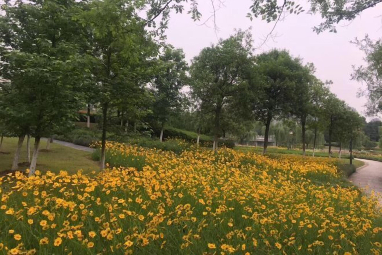 Others 4, Baiyi Hotel (Ji'an Municipal Government Branch), Ji'an