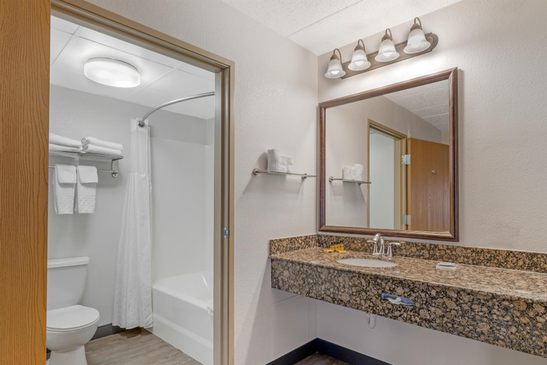 Bathroom 4, Best Western Plus McCall Lodge & Suites, Valley