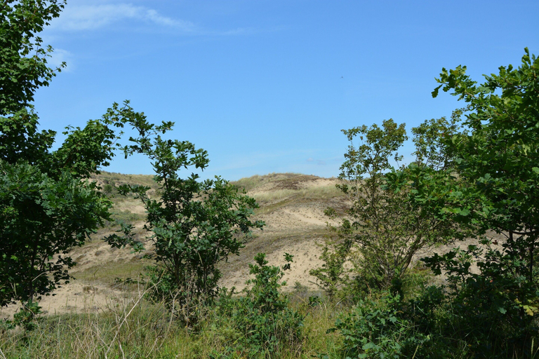 View from property 2, Beautifully Renovated House in Noordwijkerhout, Noordwijk
