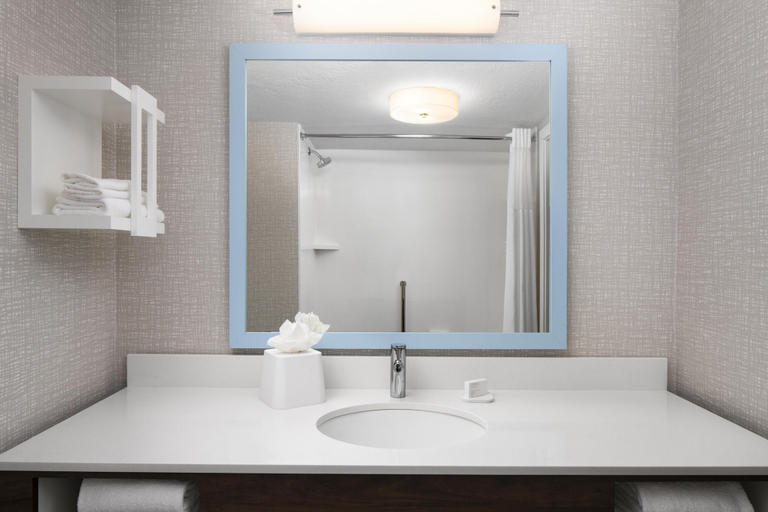 Bathroom 4, Hampton Inn St George, Washington