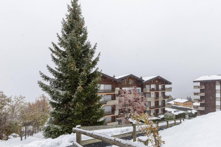 Others 3, Nevada 205 4 pax Central Apartment Garage, Martigny