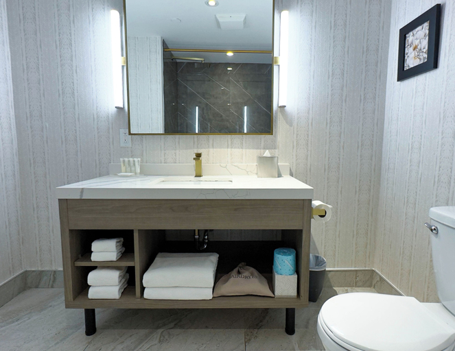 Bathroom 4, Radisson Hotel Montreal Airport, Montréal