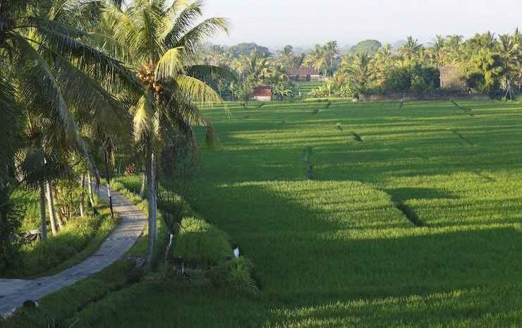 Others 3, The Luxe Ubud, Gianyar