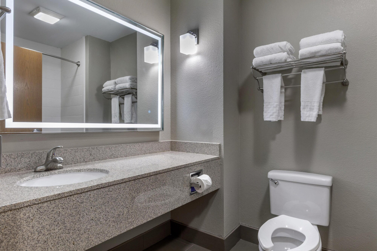 Bathroom 4, Best Western Plus Denton Inn & Suites, Denton