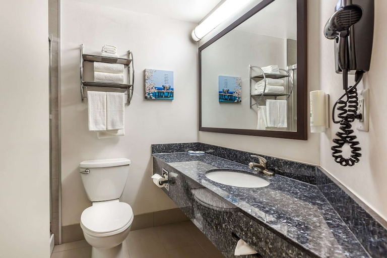 Bathroom 3, Quality Hotel Burlington, ON, Halton