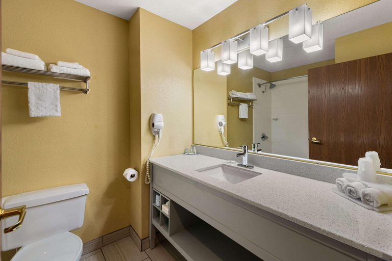 Bathroom 4, Quality Inn, Johnson