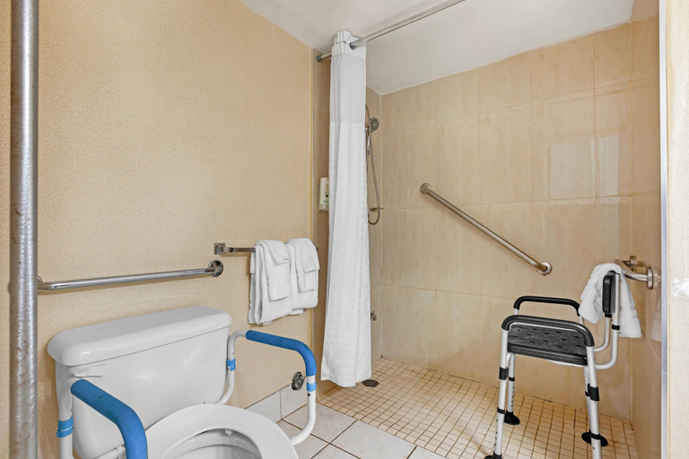 Bathroom 4, Quality Inn & Suites - Toronto West, Peel