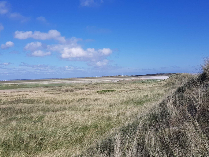 Others 5, 4 Star Holiday Home in Blavand, Varde