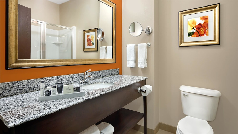 Bathroom 4, Best Western Plus Washington Hotel, Franklin