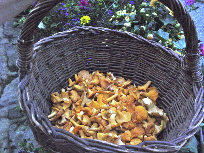 Food & Drinks, Holiday Home Milire Bohemian Forest, Tachov