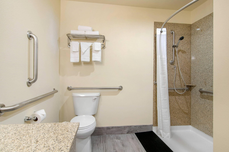 Bathroom 4, Econo Lodge Inn & Suites Springfield Main Street, Lane
