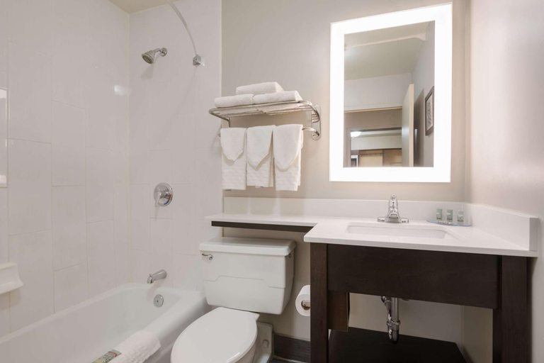 Bathroom 4, Best Western Northwest Indiana Inn, Lake