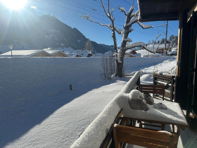 Room 5, Le Petite Chalet in Rougemont, Pays-d'Enhaut