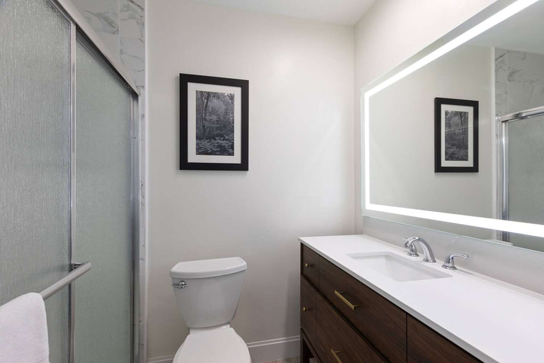 Bathroom 4, La Quinta Inn&Suites by Wyndham Sevierville/Kodak, Sevier