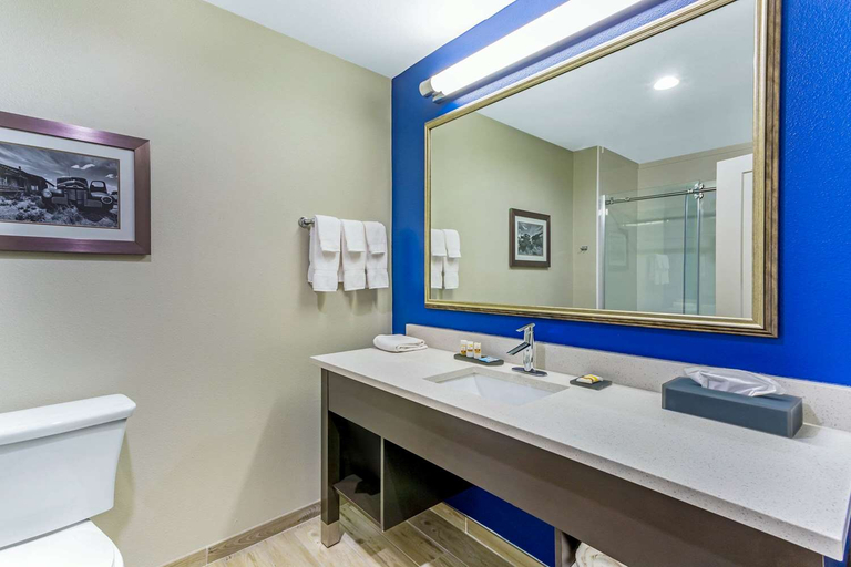 Bathroom 3, La Quinta Inn And Suites Odessa North Sienna Tower, Midland
