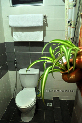 Bathroom 4, Borneo Nature Lodge, Kinabatangan