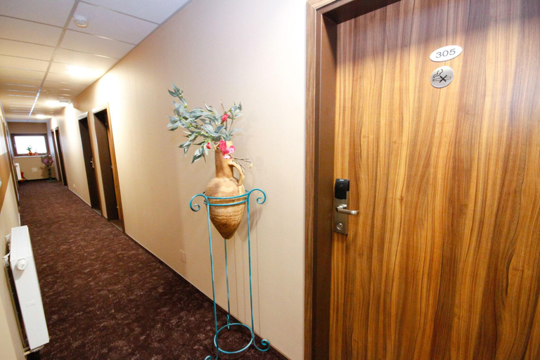 Public Area, Max Inn Hotel, Bratislava III