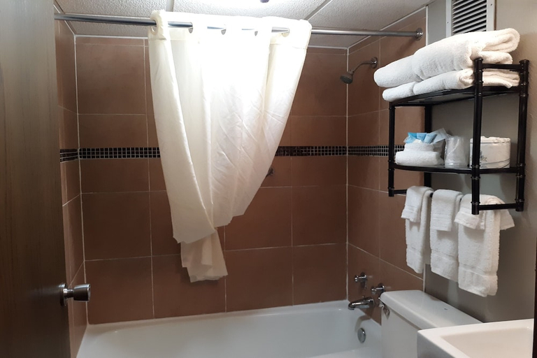 Bathroom 5, The Dakota, Minnehaha