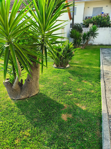Room 2, Esposende Charming Villa With Garden, Esposende