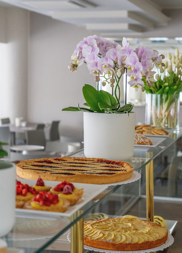 Food & Drinks 5, Hotel Philadelphia, Rimini