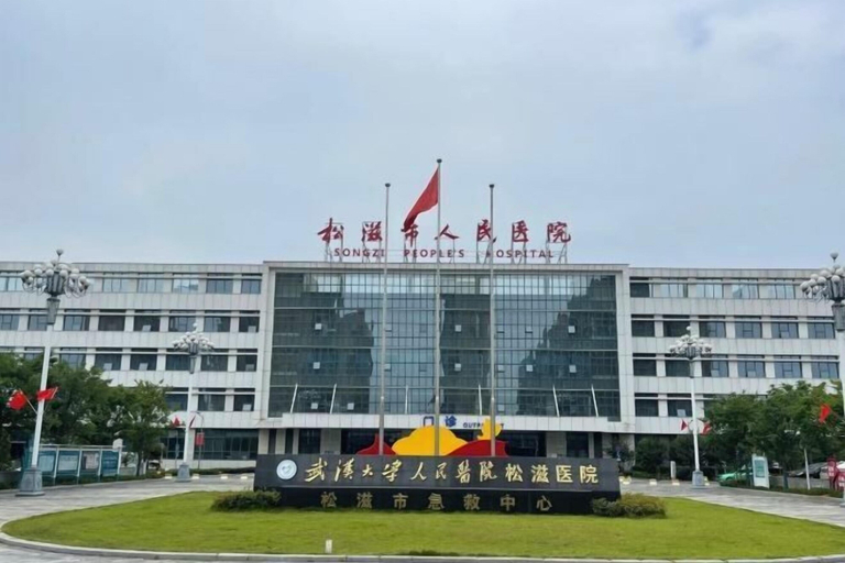 Exterior & Views 2, Songzitu Paiya Hotel (Shangshangcheng Branch), Jingzhou