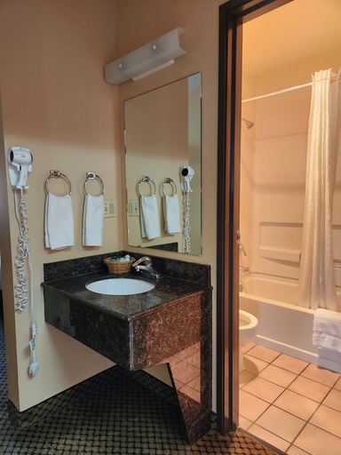 Bathroom 4, Luxury Inn & Suites, Summit