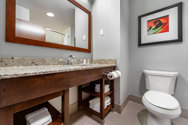 Bathroom 4, Comfort Inn Kearney I-80, Buffalo