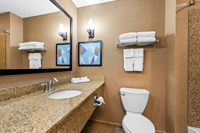 Bathroom 5, Comfort Suites Gothenburg, Dawson