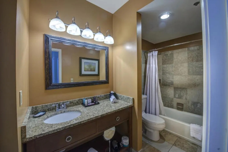 Bathroom 4, The Rockville Hotel, a Ramada by Wyndham, Montgomery
