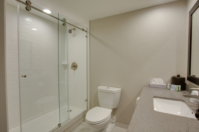 Bathroom 4, The Hotel Hot Springs, Garland