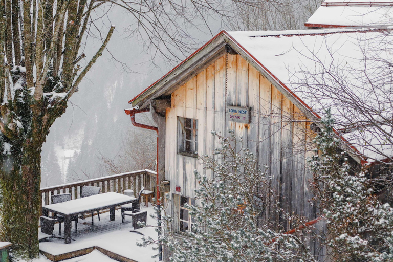 Room 2, Heidi Chalet - Panoramic View - Modern Part, Pays-d'Enhaut