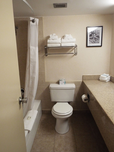 Bathroom 3, Quality Inn Owen Sound, Grey