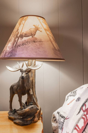 Room 4, Moose Room Rustic Colorado Lodge Escape, San Juan
