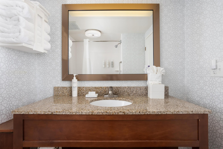 Bathroom 4, Hampton Inn Carrollton, Carroll