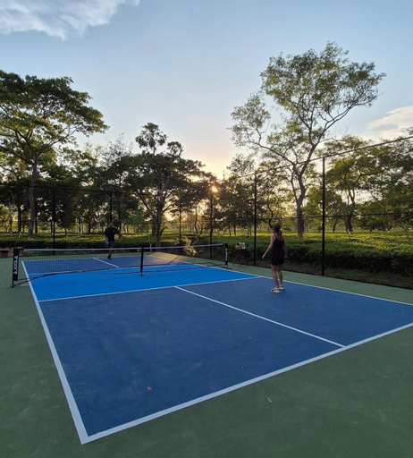 Sport & Beauty, The Postcard in the Durrung Tea Estate, Sonitpur