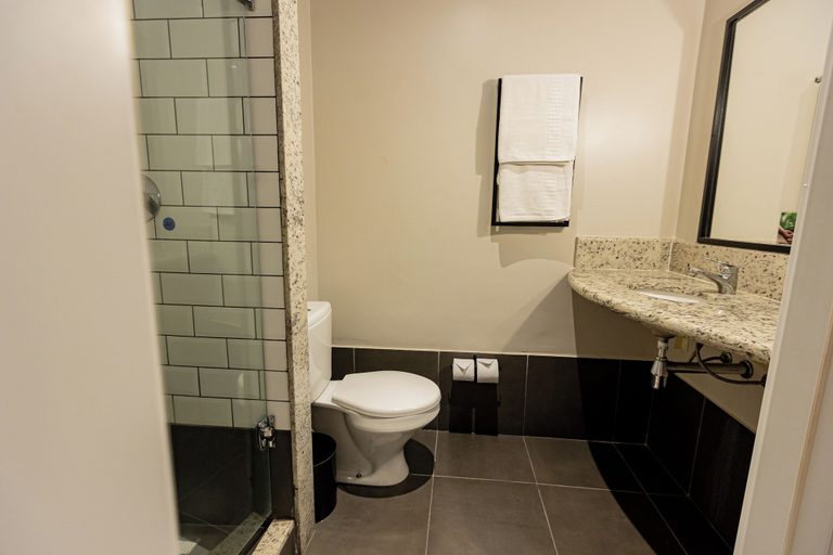 Bathroom 4, ibis Cuiabá, Cuiaba