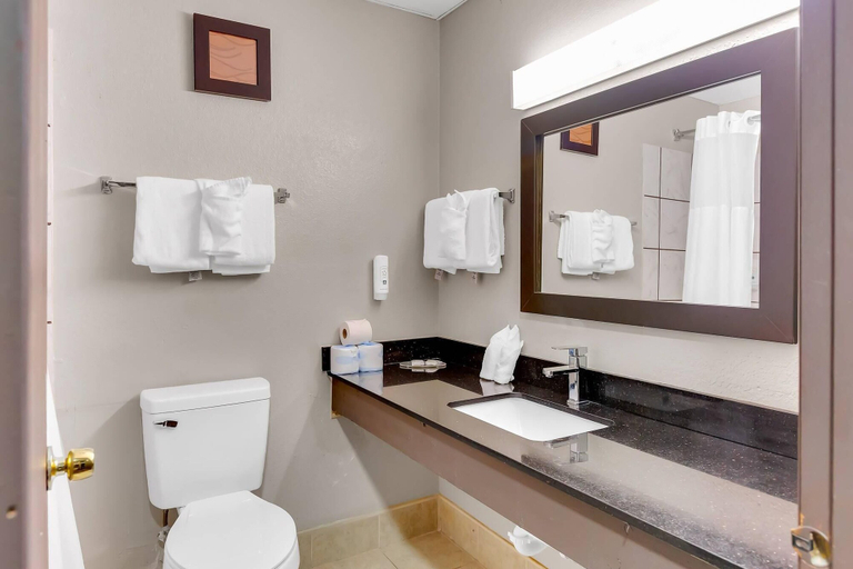 Bathroom 4, Quality Inn Salisbury North, Wicomico