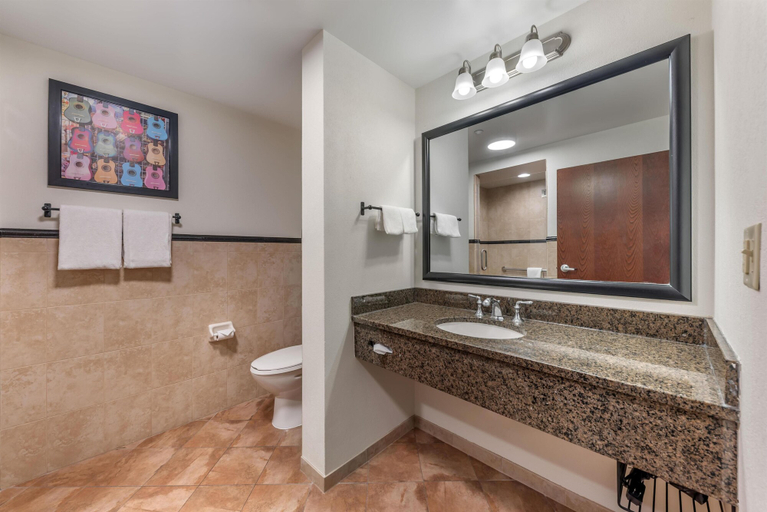 Bathroom 4, Drury Plaza Hotel San Antonio North Stone Oak, Bexar
