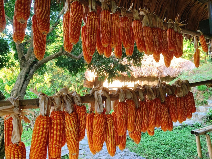 Food & Drinks, Muong Retreat, Hòa Bình