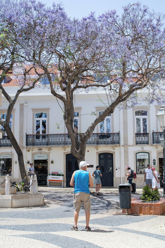 Exterior & Views 2, Casa Margô, Lagos