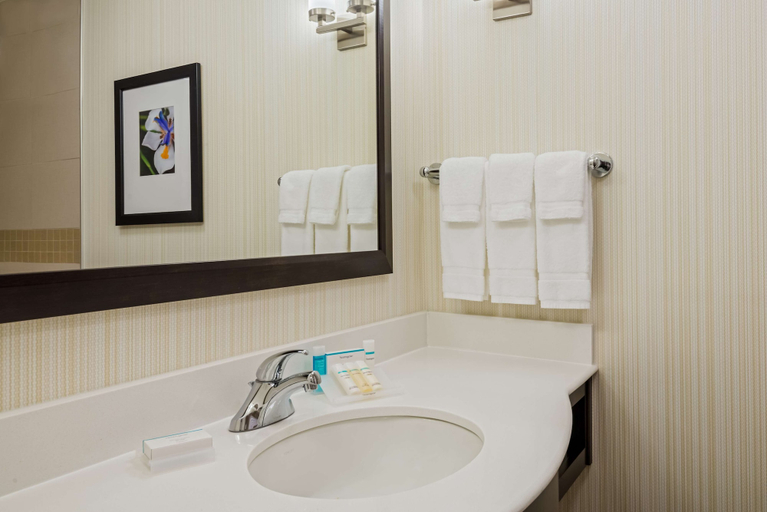Bathroom 3, Hilton Garden Inn Wayne, Passaic