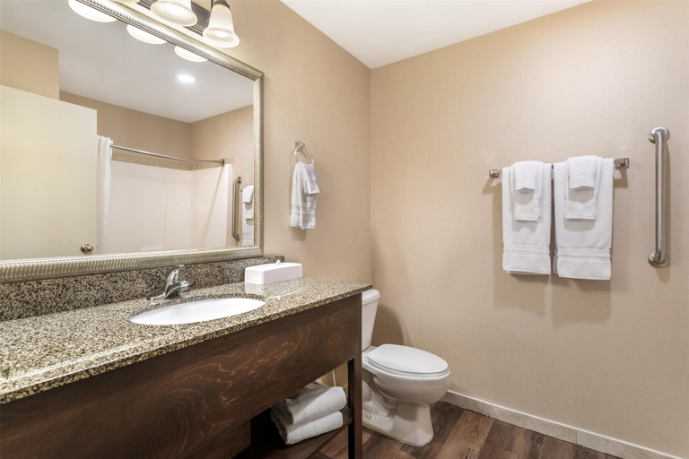Bathroom 5, Best Western Plus Valdosta Hotel & Suites, Lowndes