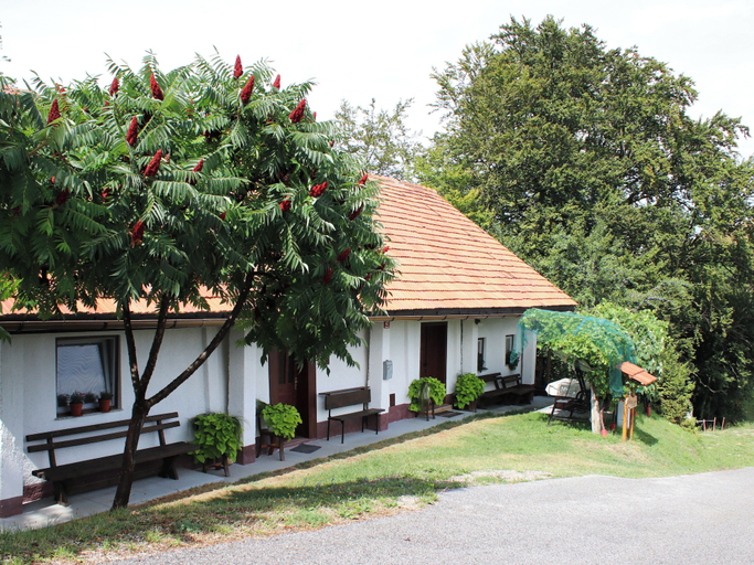 Front of property 5, Vineyard cottage Ranč pri Hanzeku, Videm
