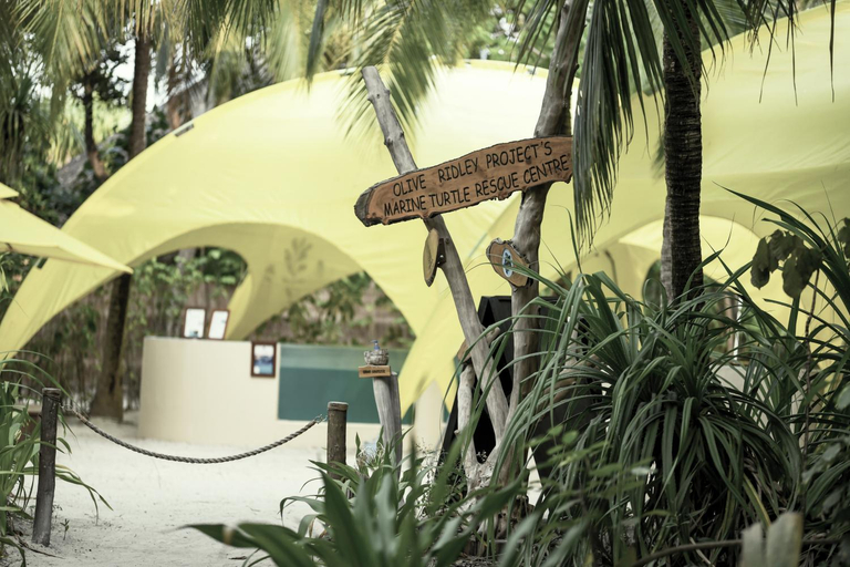 Exterior & Views 1, Coco Palm Dhuni Kolhu, Baa Atoll