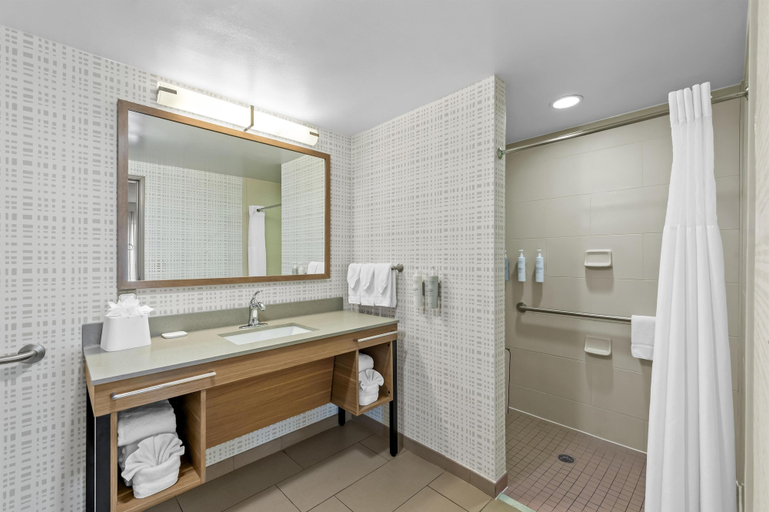 Bathroom 5, Hampton Inn Texarkana Arkansas, Miller