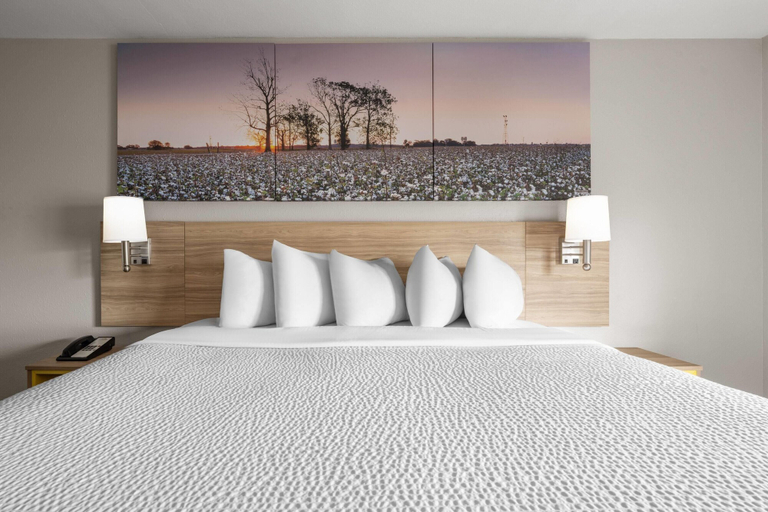 Bedroom 3, Days Inn by Wyndham Alma, Bacon