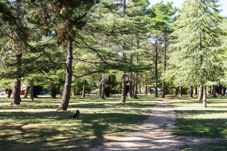 View from property 3, Chic and Elegant 1-bed in Unbeatable Location, Canberra