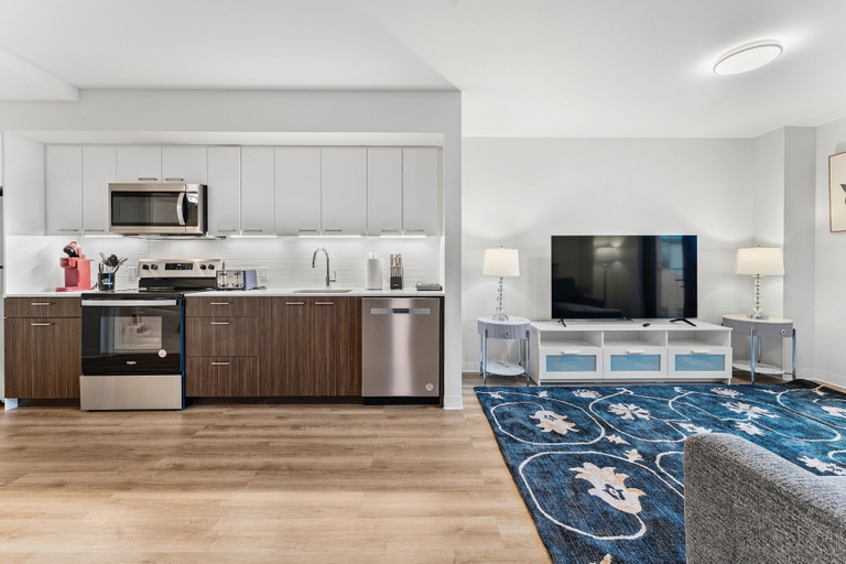 Interior 2, Furnished Apts near Harvard Stadium, Boston