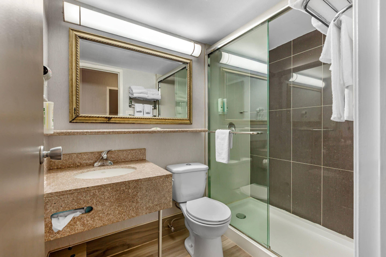 Bathroom 4, Quality Inn & Suites - Toronto West, Peel